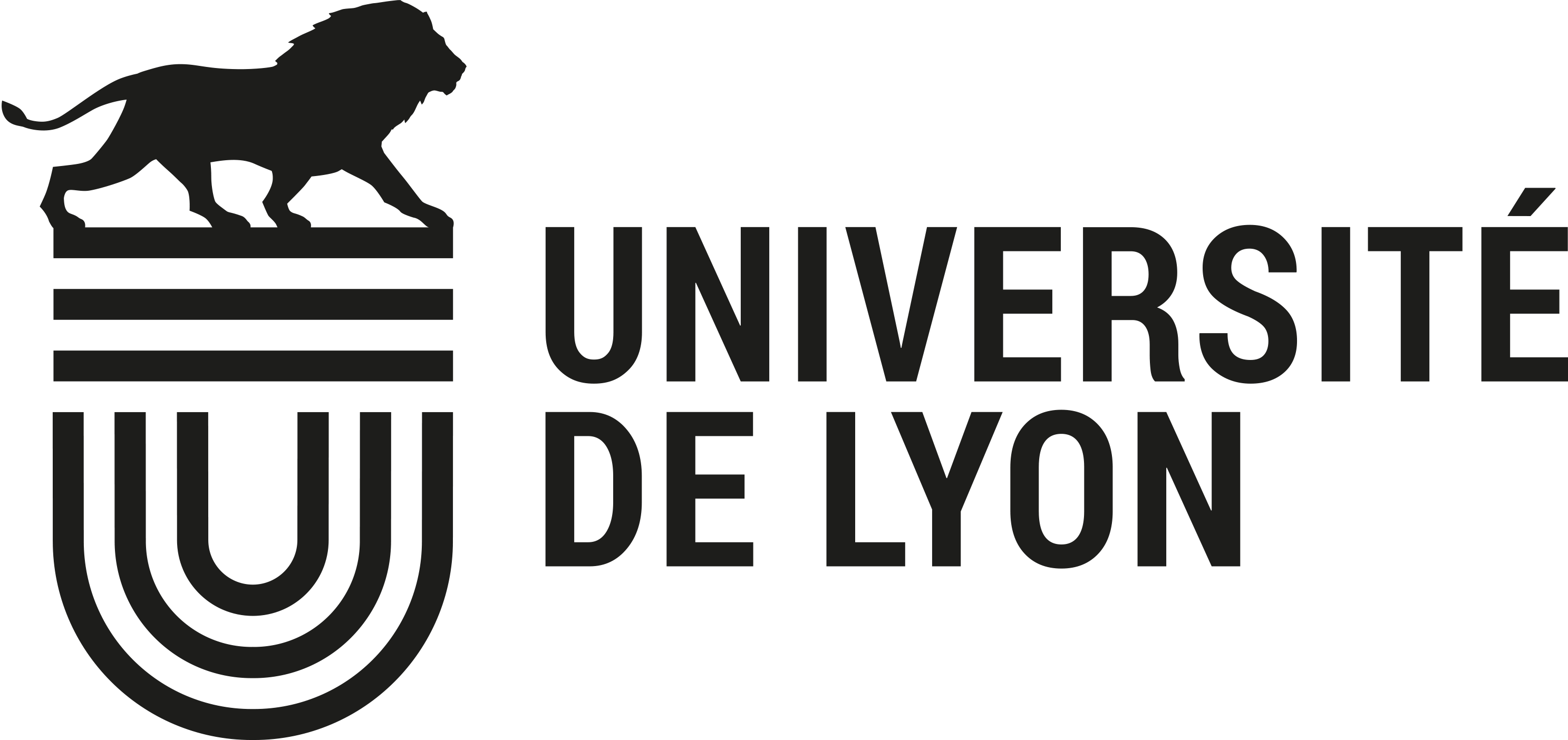Lyon 1