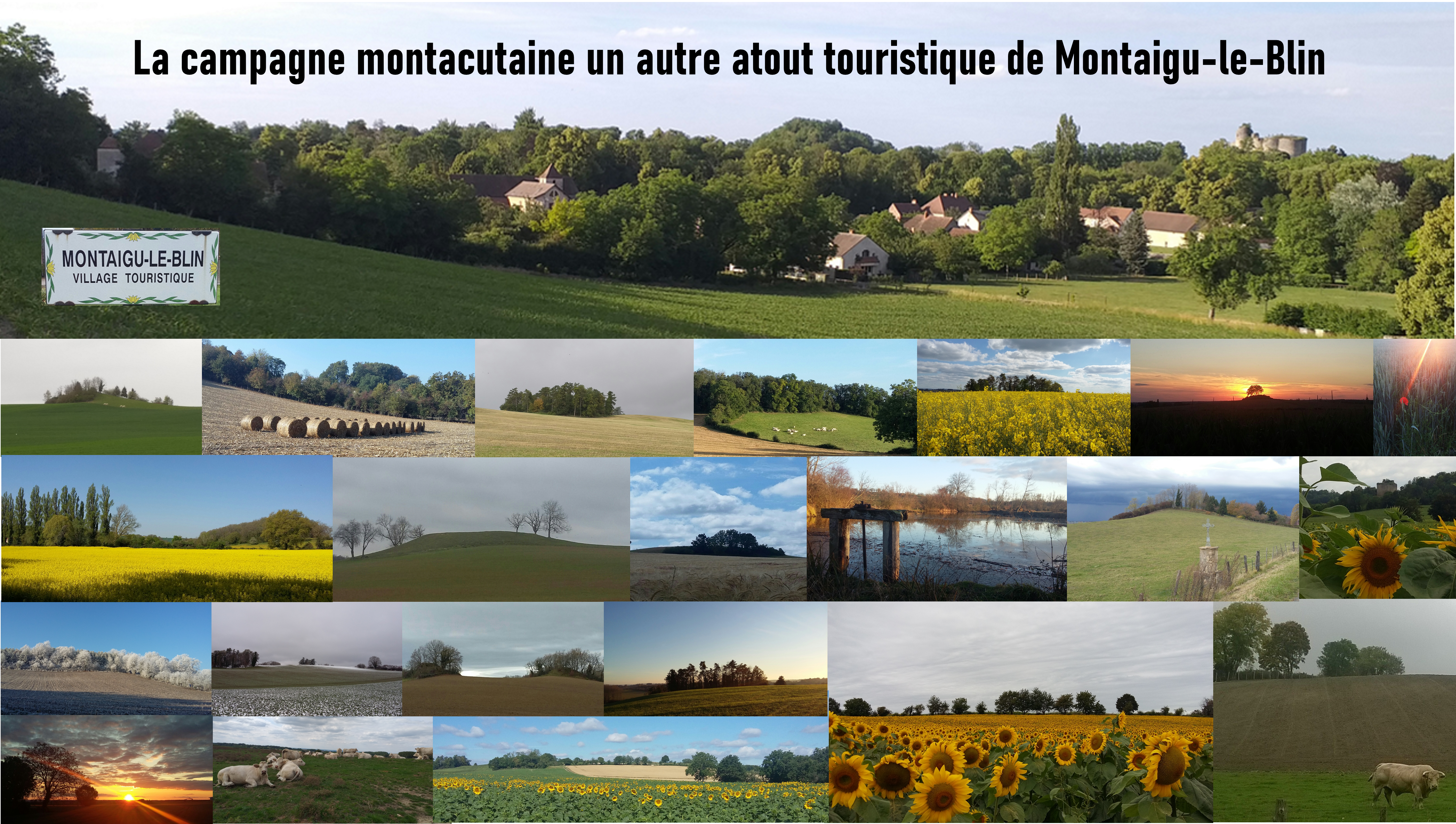 Campagne montacutaine Campagne montacutaine
